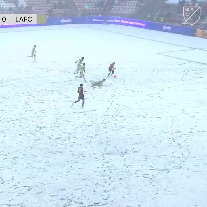 足球❌雪球✅MLS赛场全场被大雪覆盖，洛里遭对手连灌三球