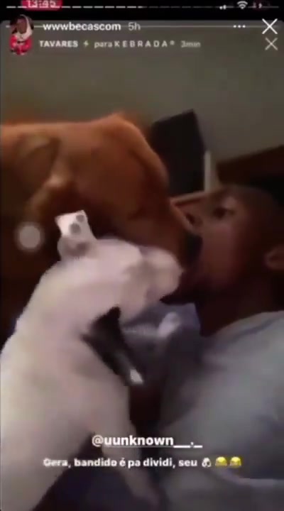 重口慎点❗阿森纳外租球员塔瓦雷斯，分享自己与狗舌吻视频?